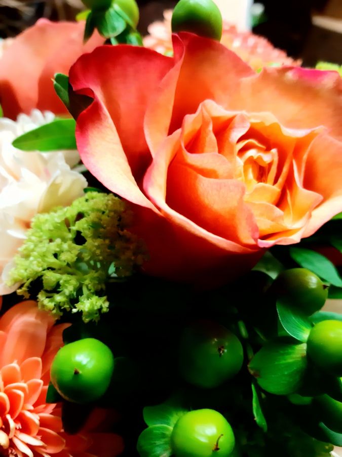 Frische Schnittblumen