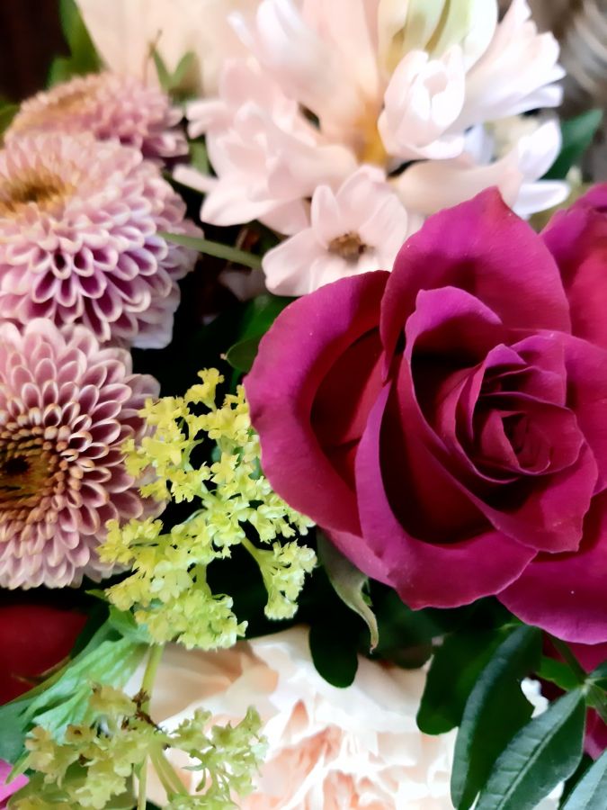 Frische Schnittblumen