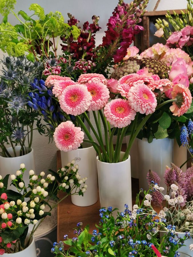 Frische Schnittblumen